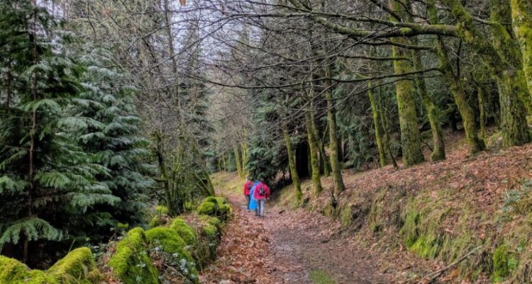 Caminhada de Fim Semana