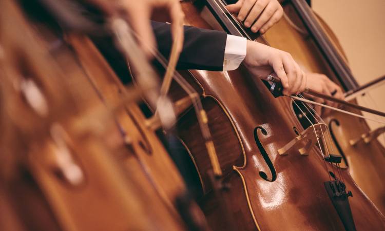 Cello 4x4