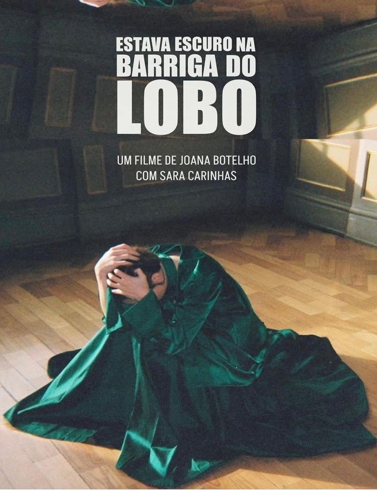 Cinema | Estava escuro na barriga do Lobo, de Joana Botelho