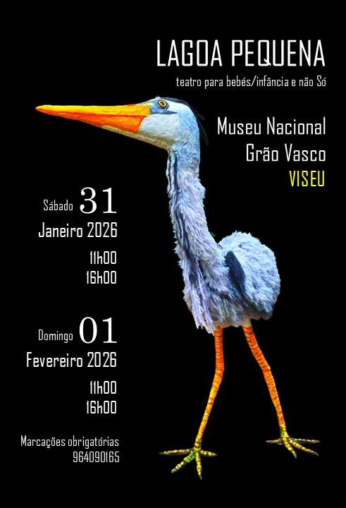 Lagoa Pequena - Teatro para bebés/infância e não Só