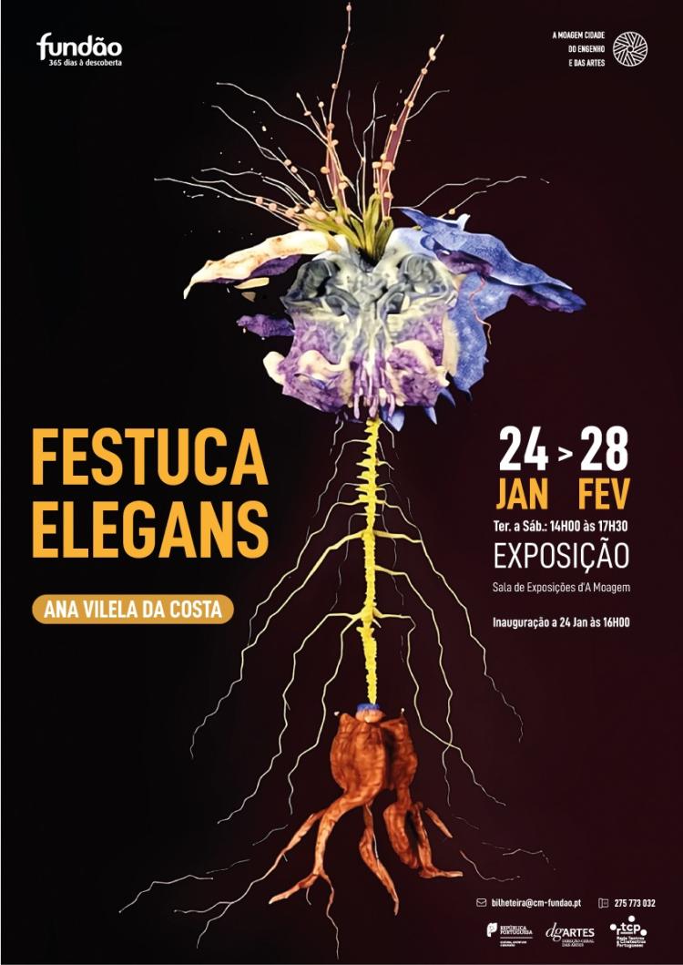Inauguração da exposição “Festuca Elegans”