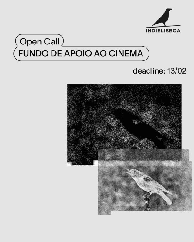 Open Call: Fundo de Apoio ao Cinema