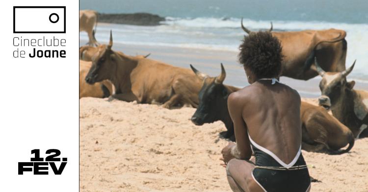 O Riso e a Faca I Pedro Pinho