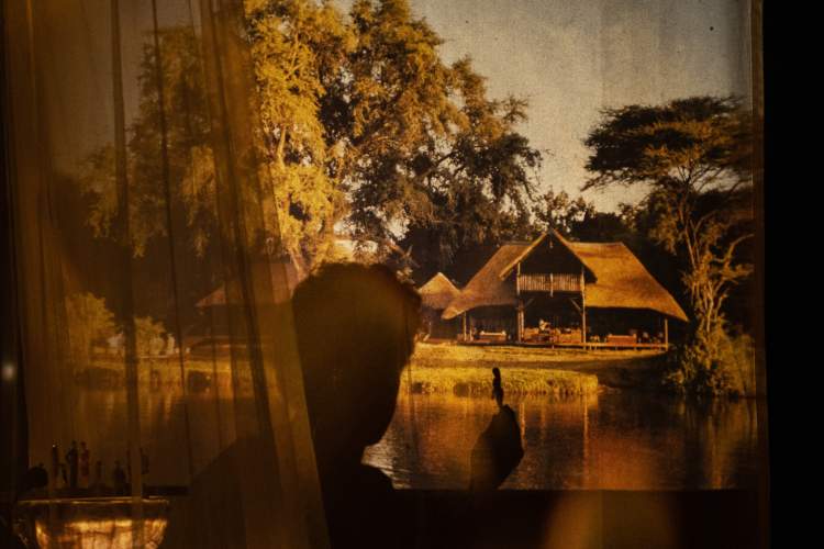 A Caminhada dos Elefantes