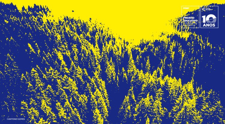 “Terra de Fogo - Hotel Europa”