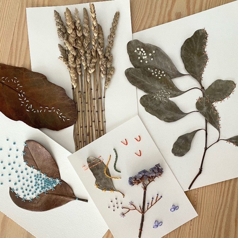 Herbário bordado: bordado livre em papel e elementos naturais com A Rendeira - 28 FEV