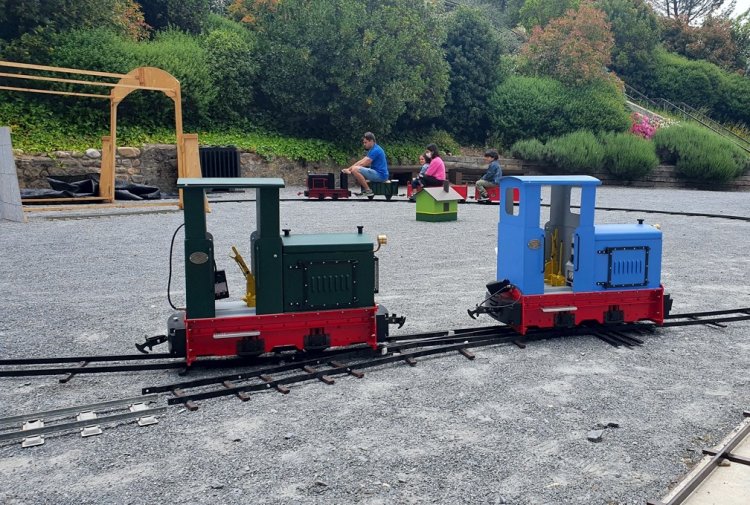 Tren infantil de 5 pulgadas