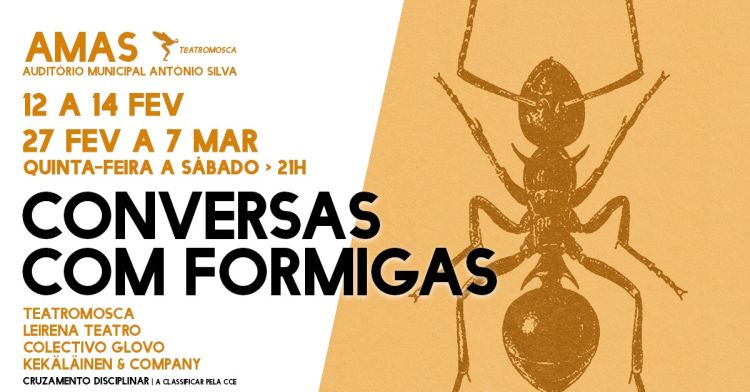 Conversas com Formigas