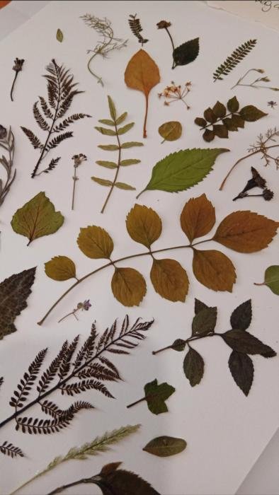 Workshop: Arte de Prensar Flores