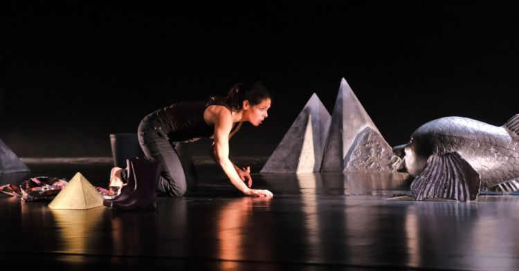 A Flor e o Peixe - o Silêncio de Saramago + conversa