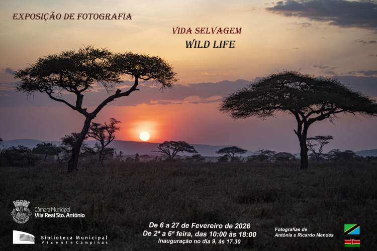 Exposição de fotografia “Vida Selvagem”
