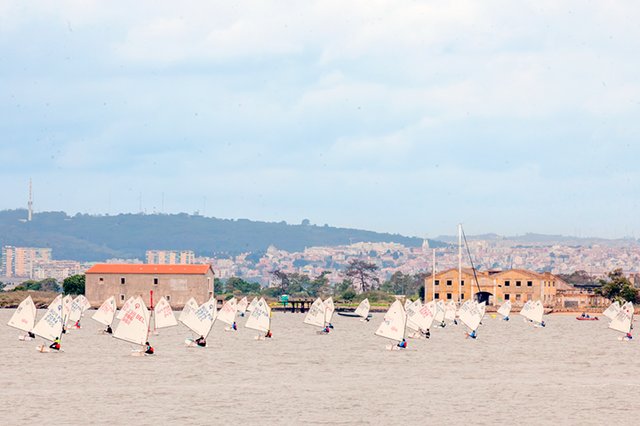 Prova de Apuramento Regional na Classe Optimist 2026