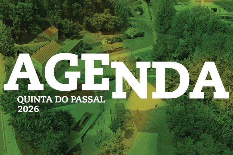 Agenda CEA Quinta do Passal – fevereiro 2026