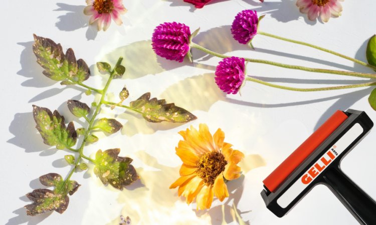 Arte com Placa Gelli, com Ângela Gouveia