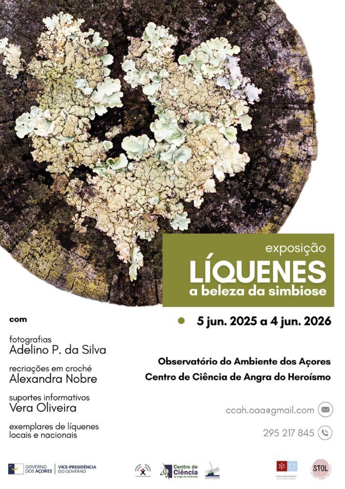 Exposição «Líquenes a beleza da simbiose»