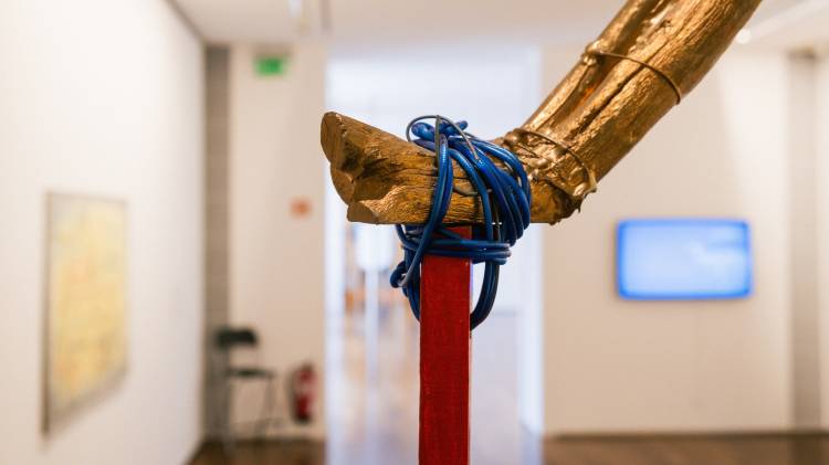 VISITA GUIADA À EXPOSIÇÃO 'Mapeando o que não se vê' 