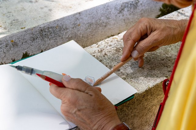 Desenhar para Conhecer – De Que É Feita a Quinta da Fidalga?