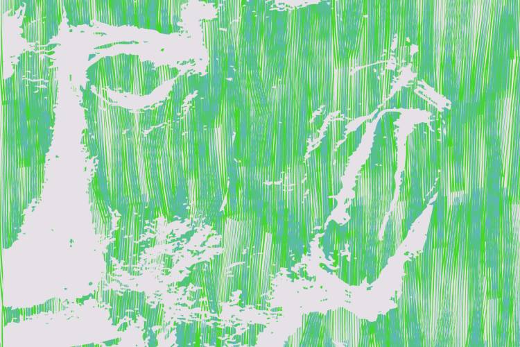 Xavier Ovídio e João Timóteo