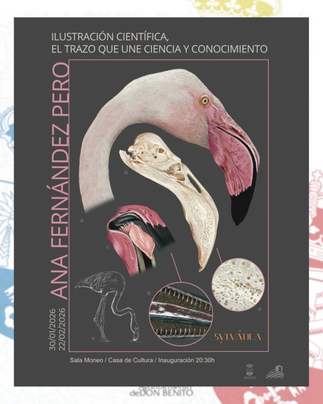 Ilustración Científica de Ana Fernández Pero