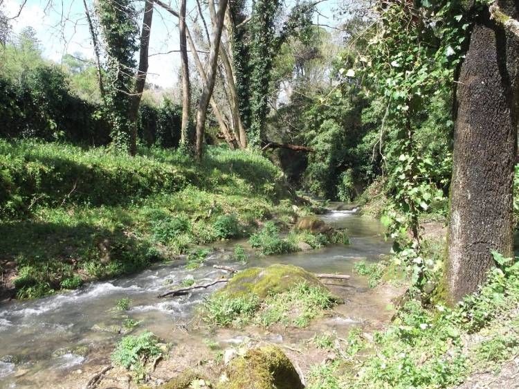 Caminhando em Belas – Ribeira, Cascata e Aqueduto da Fonteireira