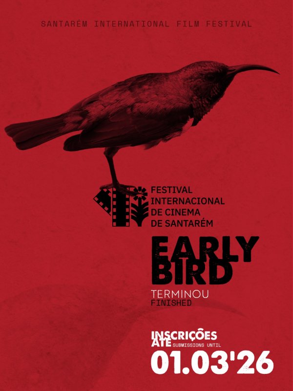 Festival Internacional de Cinema de Santarém