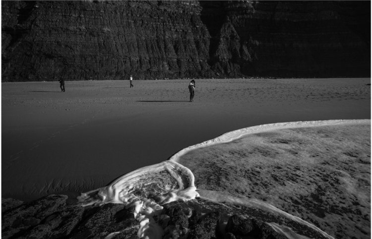 Artem Kupriianenko e Rafflesia.A