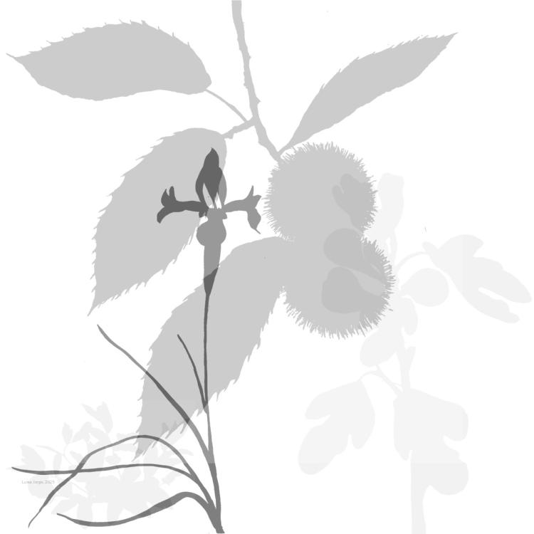 A(R)RISCAR — CICLO DE ILUSTRAÇÃO CIENTÍFICA — OFICINAS DE ILUSTRAÇÃO CIENTÍFICA #2