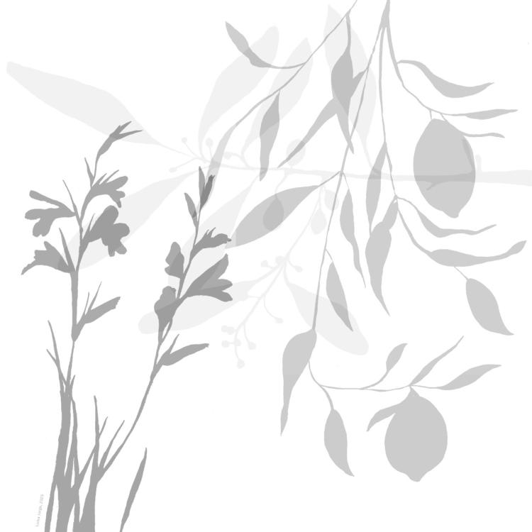 A(R)RISCAR — CICLO DE ILUSTRAÇÃO CIENTÍFICA — OFICINAS DE ILUSTRAÇÃO CIENTÍFICA #1