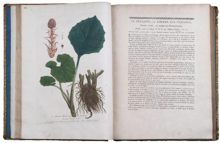 OFICINA PARA FAMÍLIAS — A ROTA DAS ESPECIARIAS