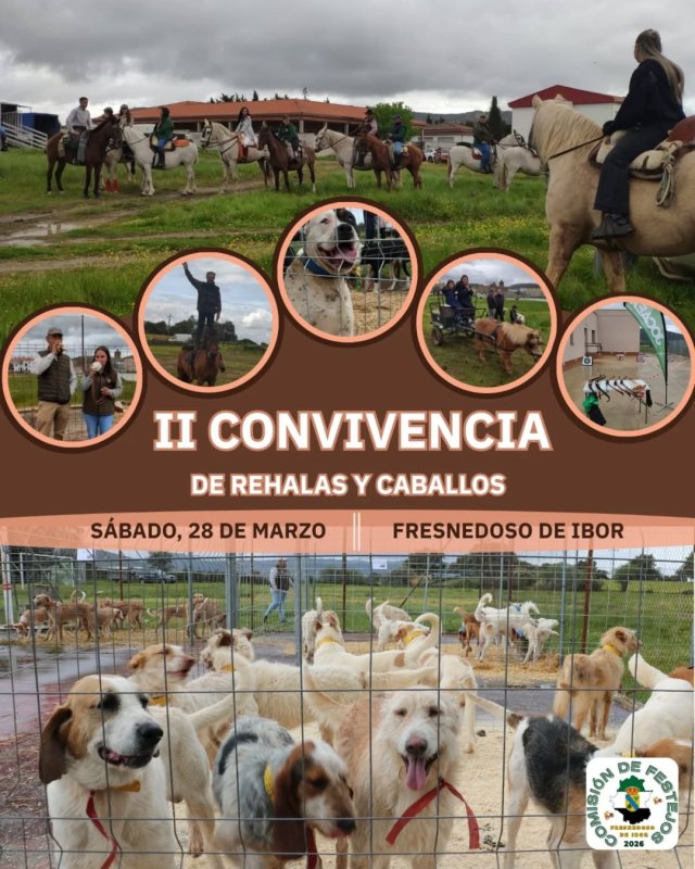 II Convivencia de Rehalas y Caballos