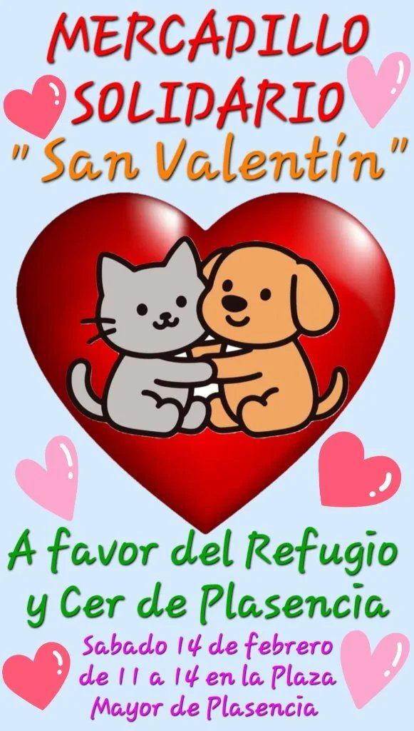 Mercadillo Solidario a favor del Refugio y CER Plasencia