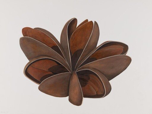 Exposição 'Deriva'