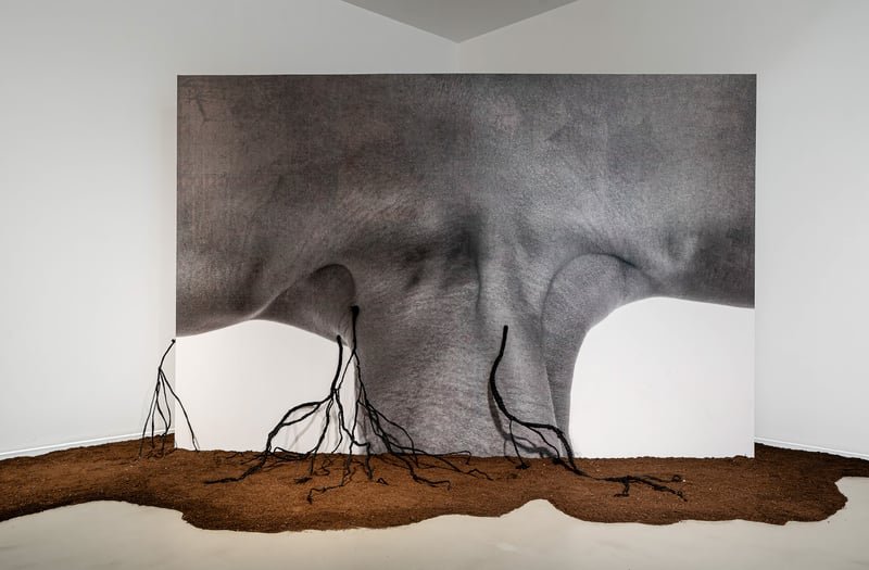 SOIL ART TALES