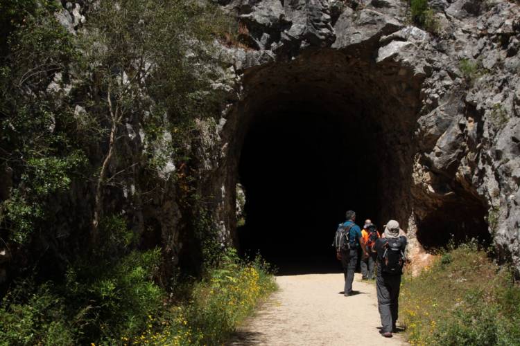 Pela Antiga Linha do Comboio | Porto de Mós