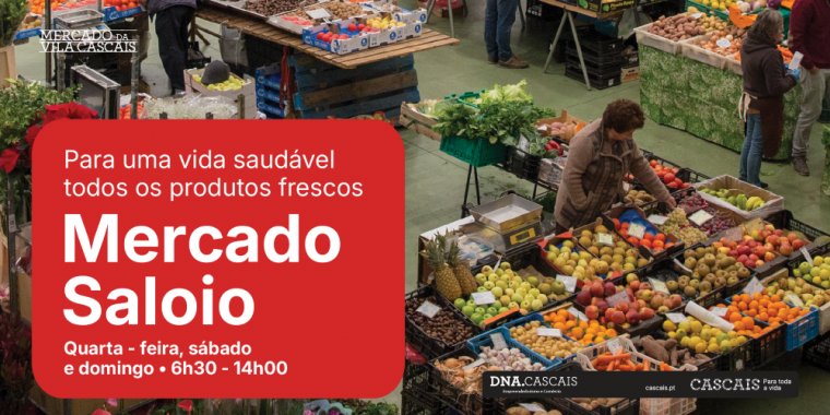 Mercado Saloio