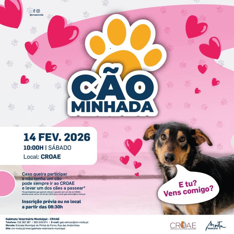 Cãominhada - Edição especial Dia dos Namorados