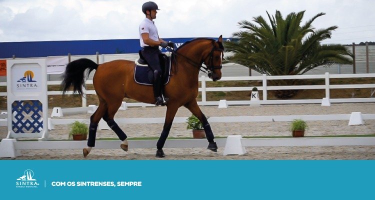 Concurso Internacional de Dressage 3