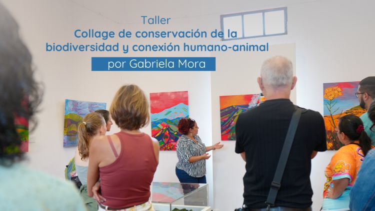 Taller: Collage de conservación de la biodiversidad y conexión humano–animal