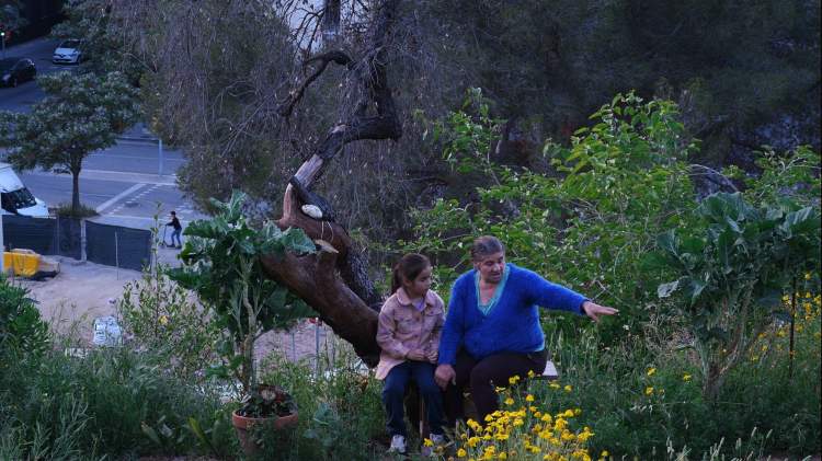 Histórias do Vale Bom