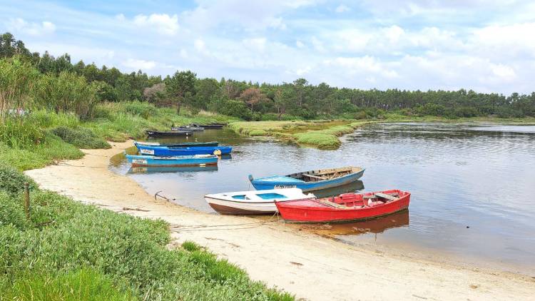 Caminhando à descoberta do Lado Sul da Lagoa de Óbidos