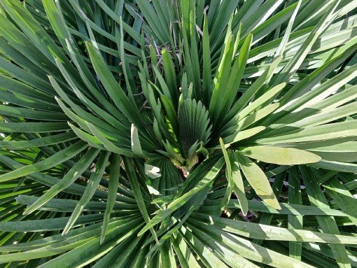 EMPREITARTE - DO CORAÇÃO À MÃO: O DRAGÃO, por Ana Carla