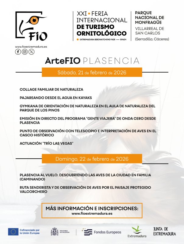 ArteFIO PLASENCIA 2026