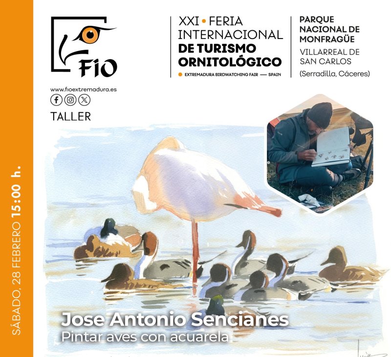 Taller 'Pintar aves con acuarela', por José Antonio Sencianes