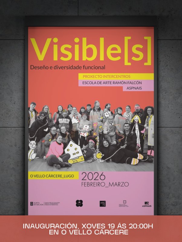 VISIBLE(S)_ “deseño e diversidade funcional”.