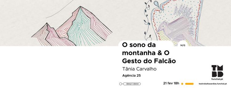 'O Sono da Montanha & O Gesto do Falcão' de Tânia Carvalho