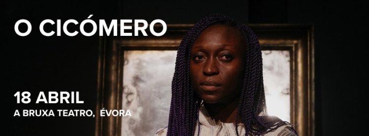 O CICÓMERO