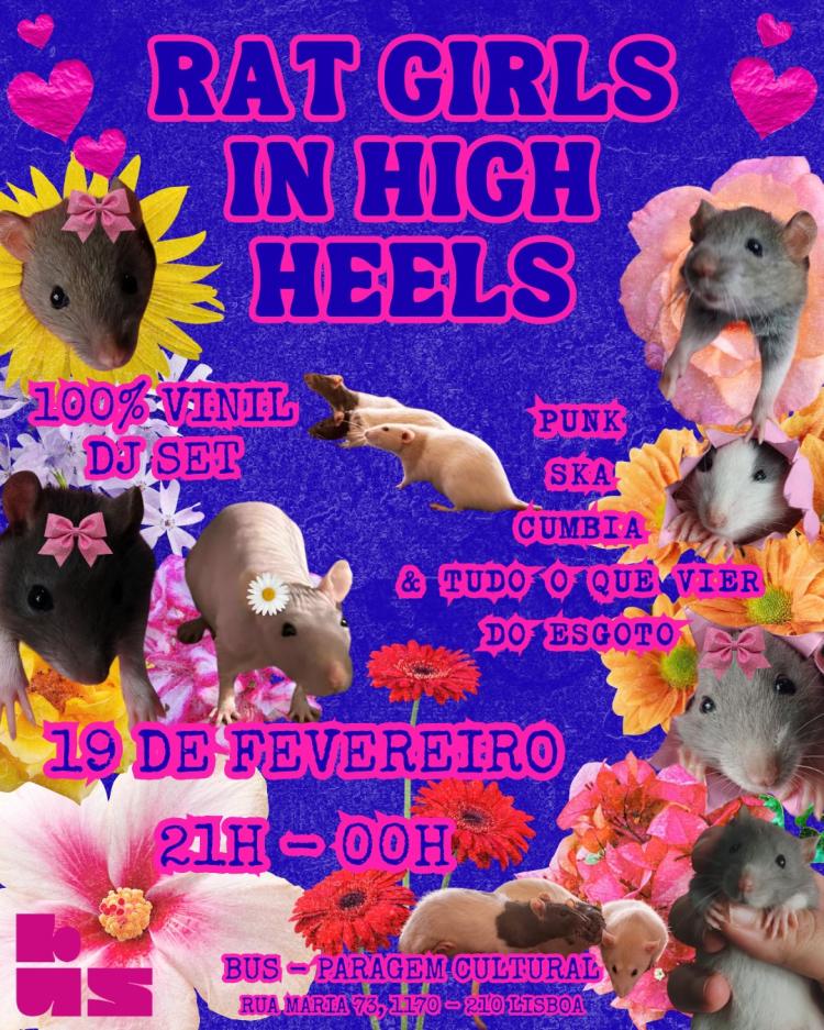 Rat Girls in High Heels