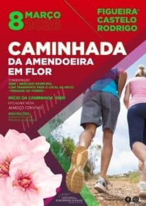 Caminhada da Amendoeira em Flor