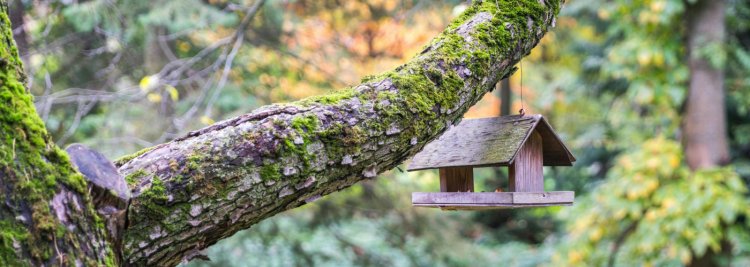 MEDIO AMBIENTE Y BIODIVERSIDAD