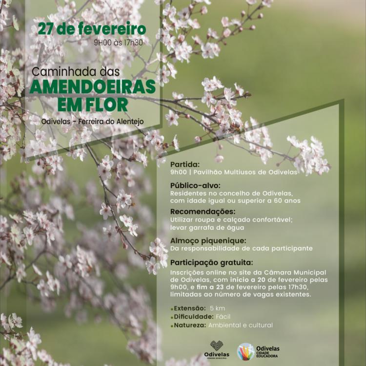 CAMINHADA DAS AMENDOEIRAS EM FLOR
